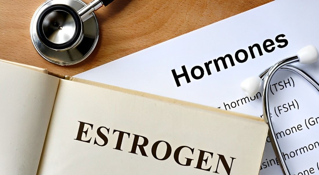 estrogen image