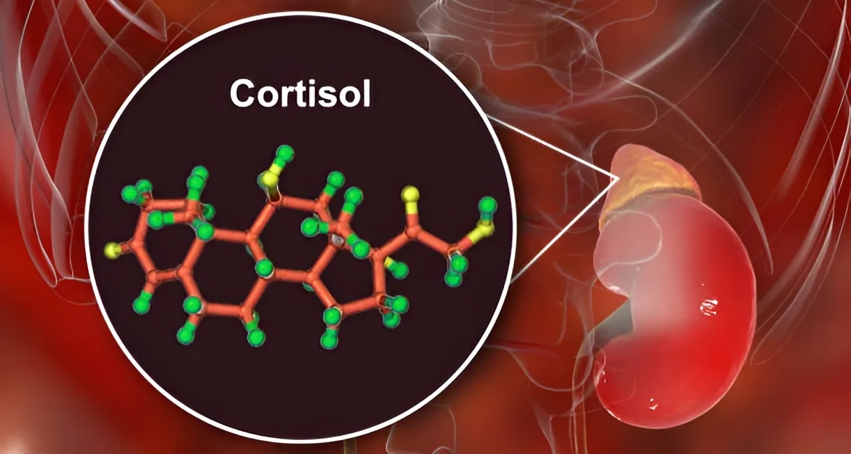 High Cortisol Vs Low Cortisol: Symptoms, Causes, & Remedies