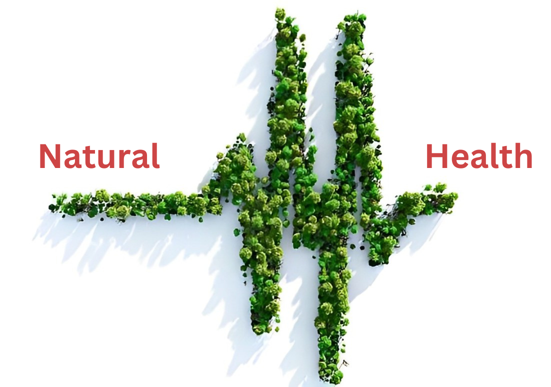 What is Natural Health? Exploring Natural Practices, Tips, & More