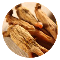 asian red gincing