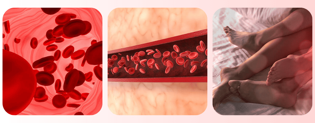 Blood Cells Flow