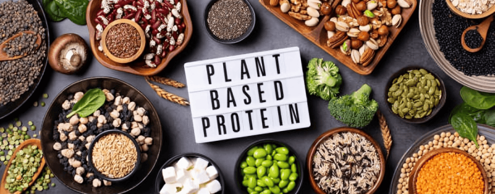 Plant-based protein food chart with text in the center and surrounding visuals of beans, nuts, vegetables, fruits, and dairy alternatives