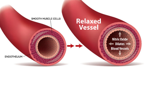 a model of nitric oxide with labels