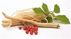 Withania Somnifera extract